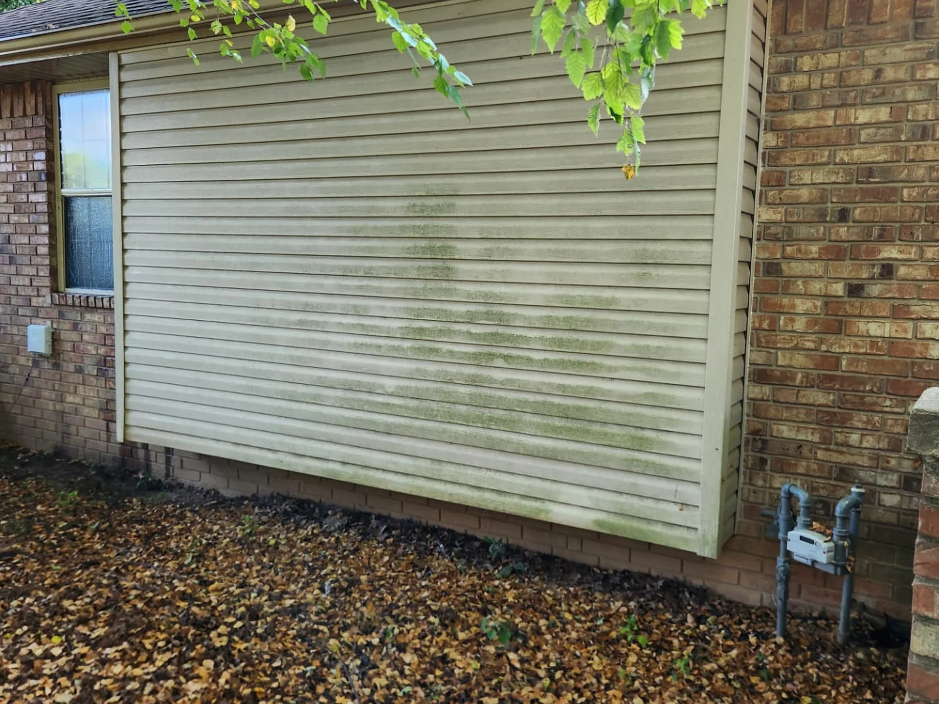 Before and after House Washing